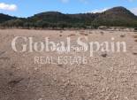 Resale - LAND -
YECLA - Inland