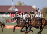 Nowo zbudowane - WILLA  -
SOTOGRANDE - 