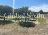 Wiederverkauf - VILLA -
GUARDAMAR DEL SEGURA - Costa Blanca