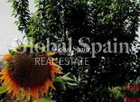Resale - HOUSE -
MURCIA - Inland