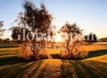 New Build - VILLA -
PILAR DE LA HORADADA - Lo Romero Golf
