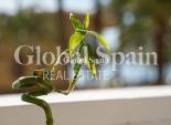 Venta - APARTAMENTO -
ALICANTE - Costa Blanca