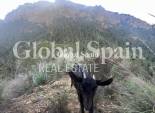 Resale - HOUSE -
GEA Y TRUYOLS - Inland