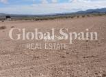 Venta - TERRENO -
YECLA - Inland