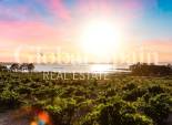 Revente - VILLA -
CIUDAD QUESADA