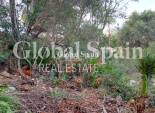 Resale - Plot / Land -
ALTEA