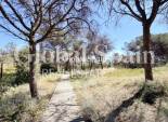 Odsprzedaż - MIESZKANIE -
GUARDAMAR DEL SEGURA - Costa Blanca